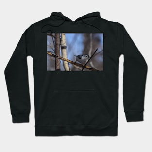 Nuthatch Hoodie